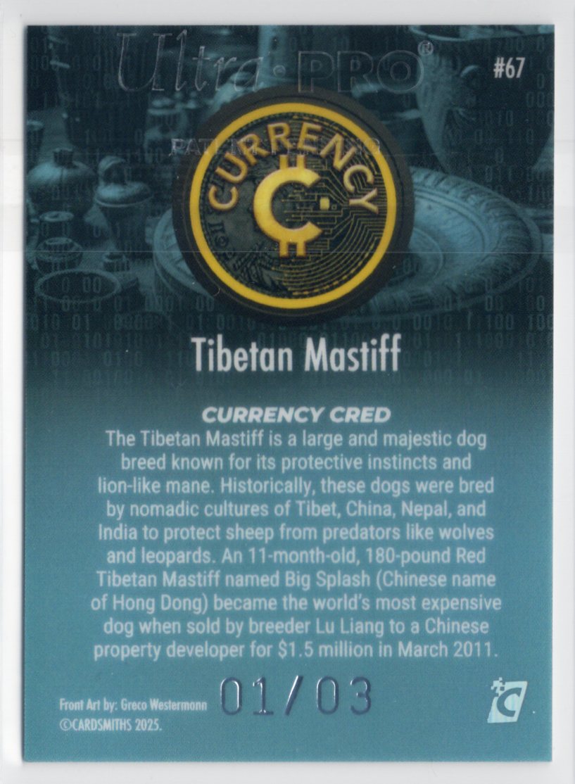 Cardsmiths Holiday Series 5 - Tibetan Mastiff - Snowflake 01/03 Alpha