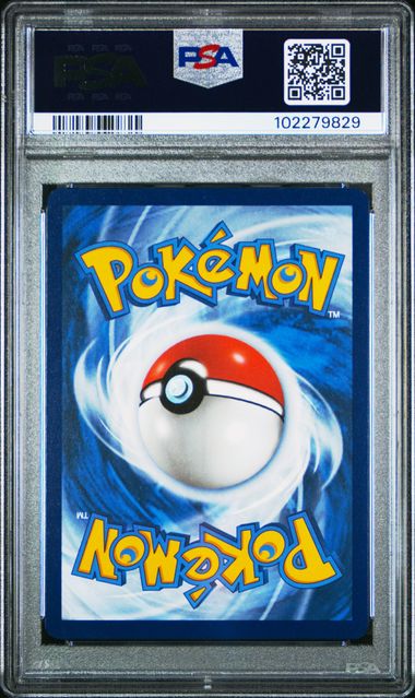 2024 Pokémon SCR English Stellar Crown #148 Squirtle Illustration Rare - PSA 8