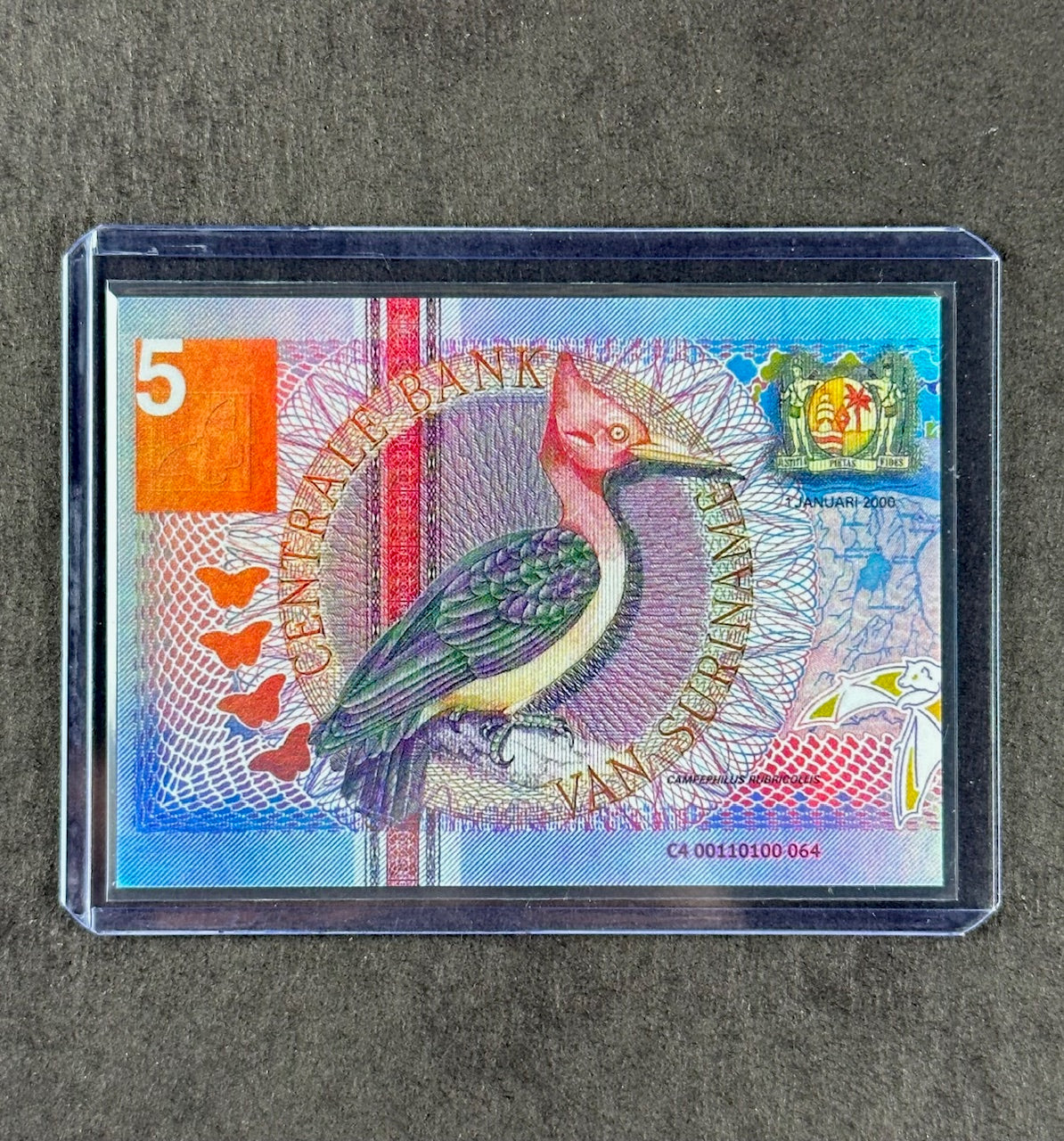 Cardsmiths Series 4 – Suriname 5 Gulden – DSHF 064/210 – Double-Sided Holo Foil
