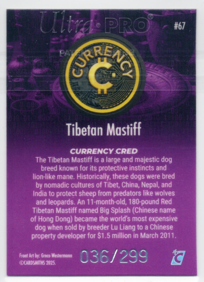 Cardsmiths Series 5 – Tibetan Mastiff #67 – Tanzanite 036/299